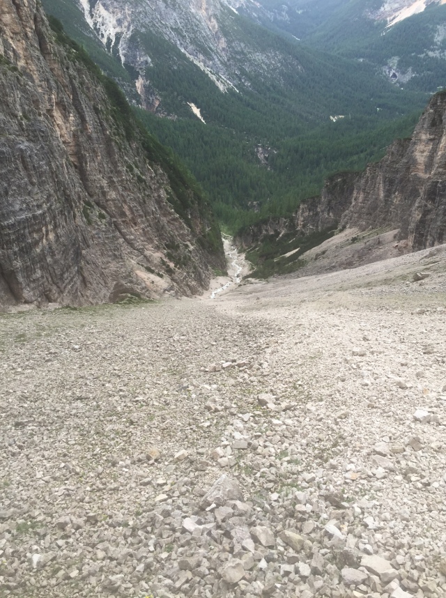 The field of scree...I should have realized that the race was not going through this